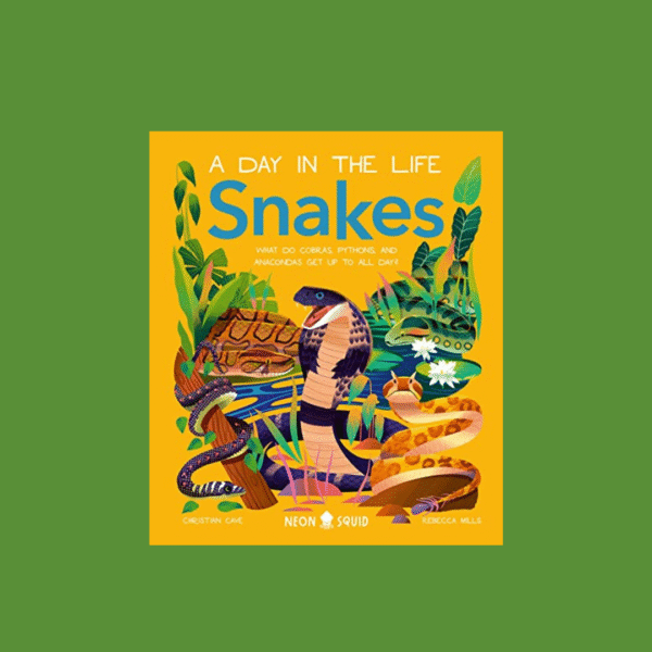 A Day in The Life Snakes
