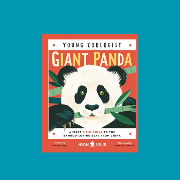 Young Zoologist Giant Panda