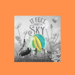 It fell from the sky